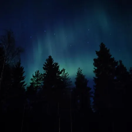 Cozy & Relaxing House *